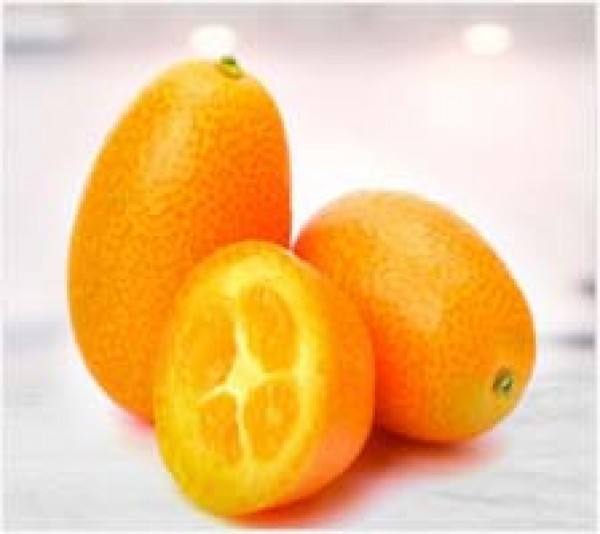 Kumquat