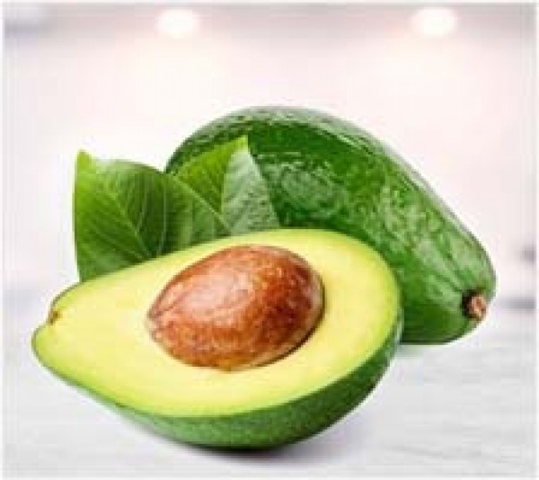 Avocado (Persea americana)