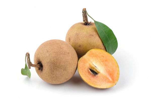 Manilkara zapota (Sapodilla)